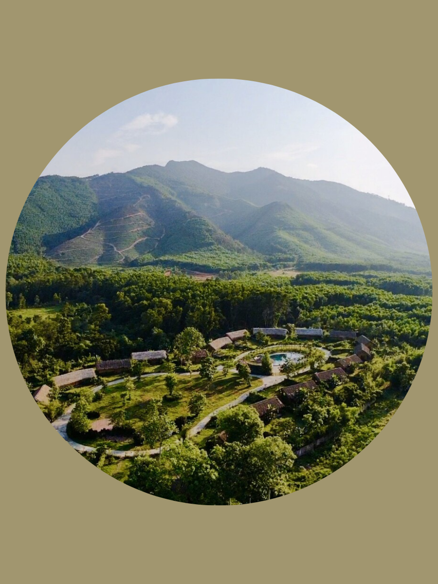 Vietnam Accom 4